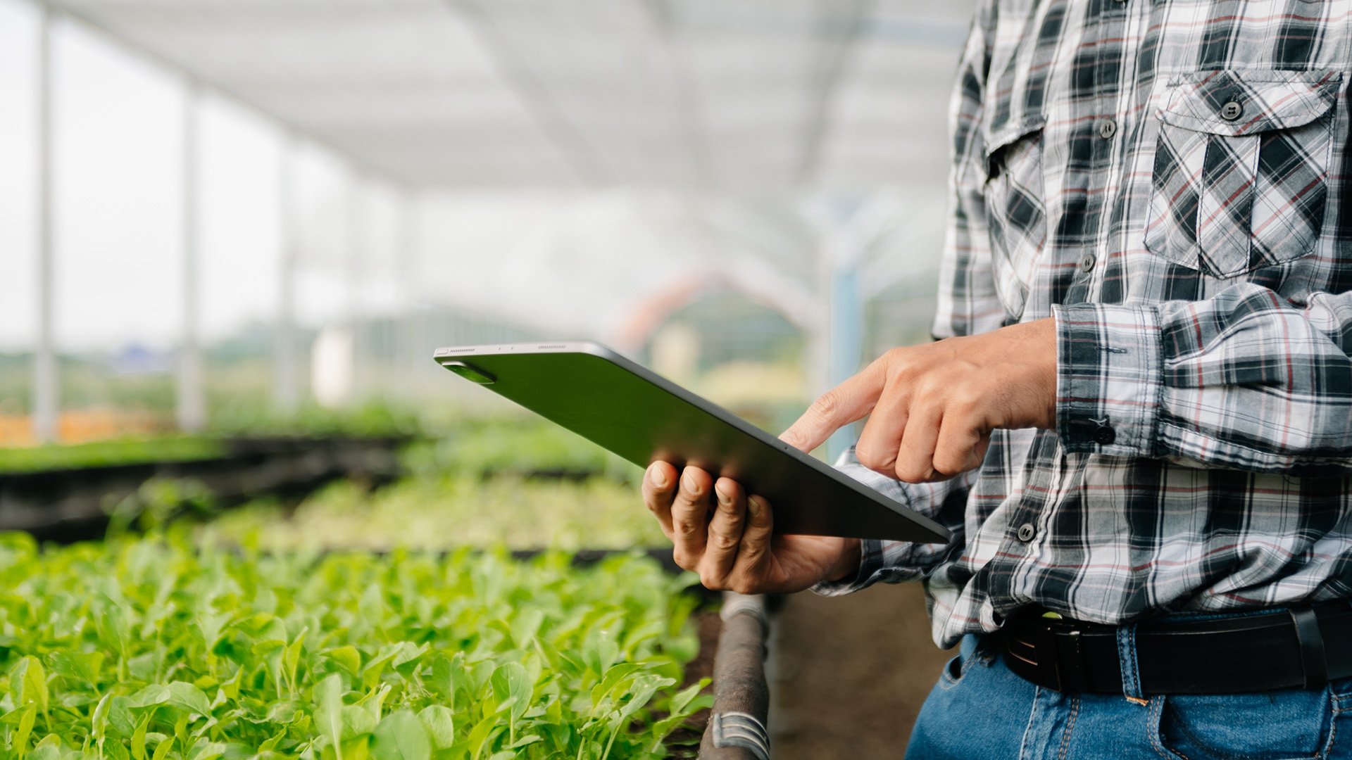 Man holding Ipad within a greenhouse