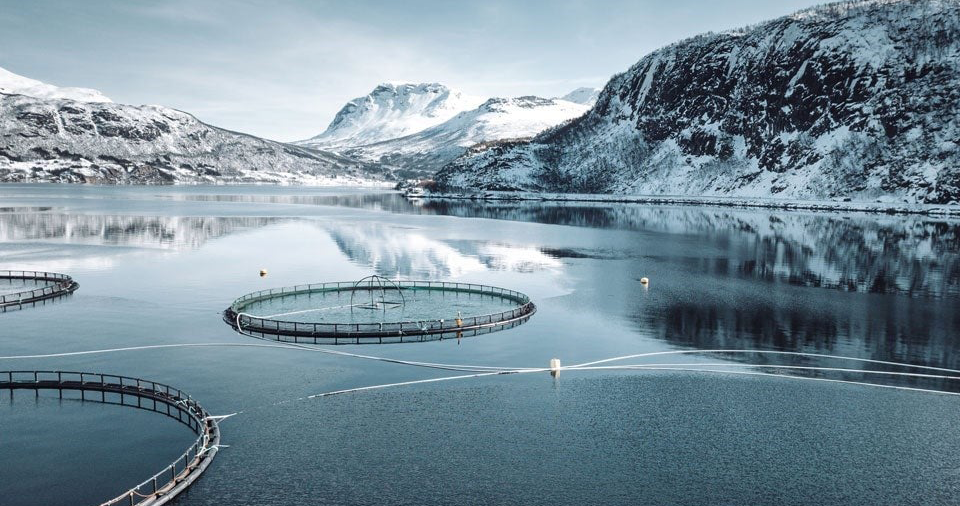 Oppdrettsanlegg i naturskjønn fjord omringet av snødekte fjell, Norge.