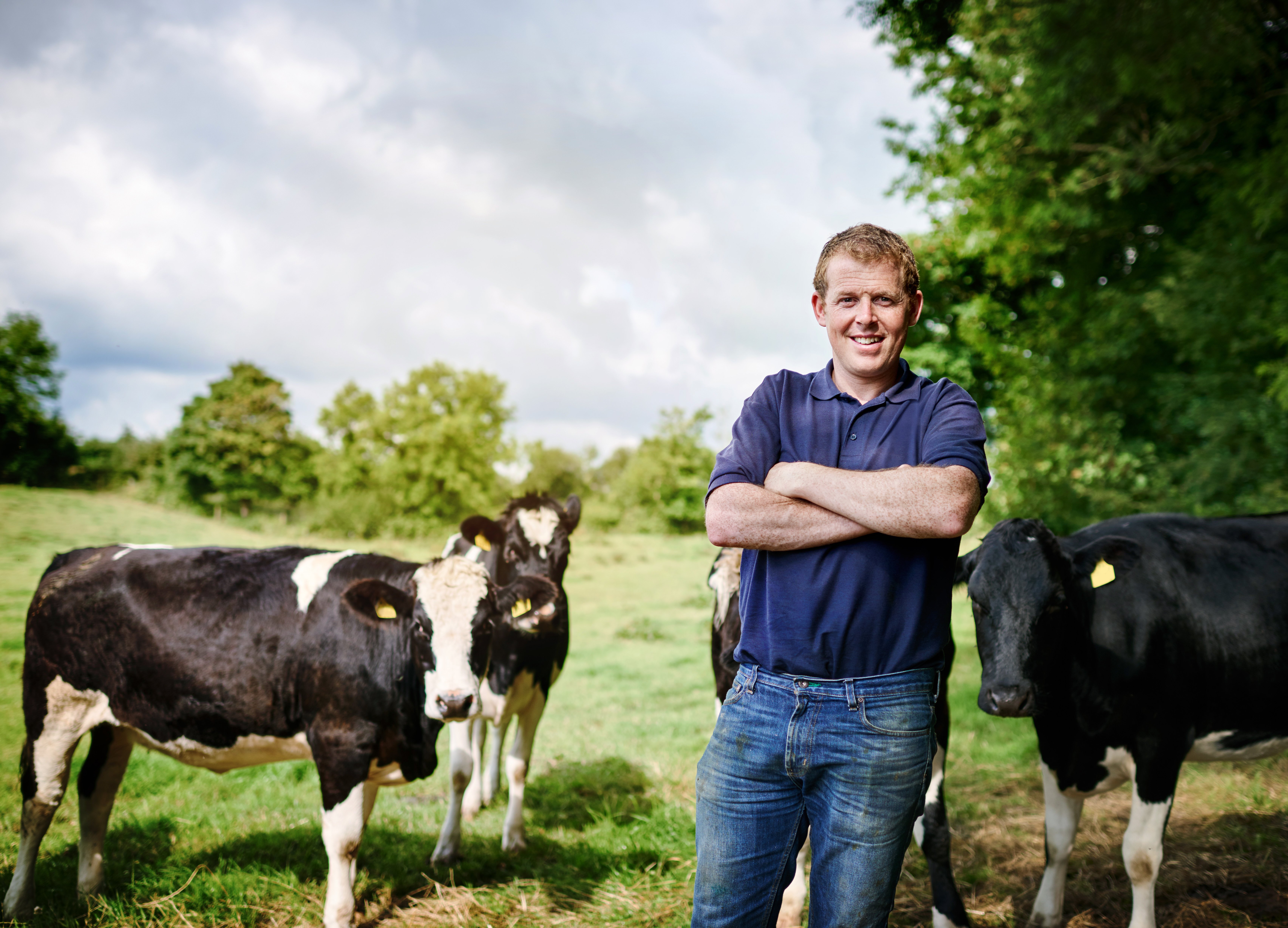Proud farmer standing in the fields amongst 4 of his black and white colored cows
