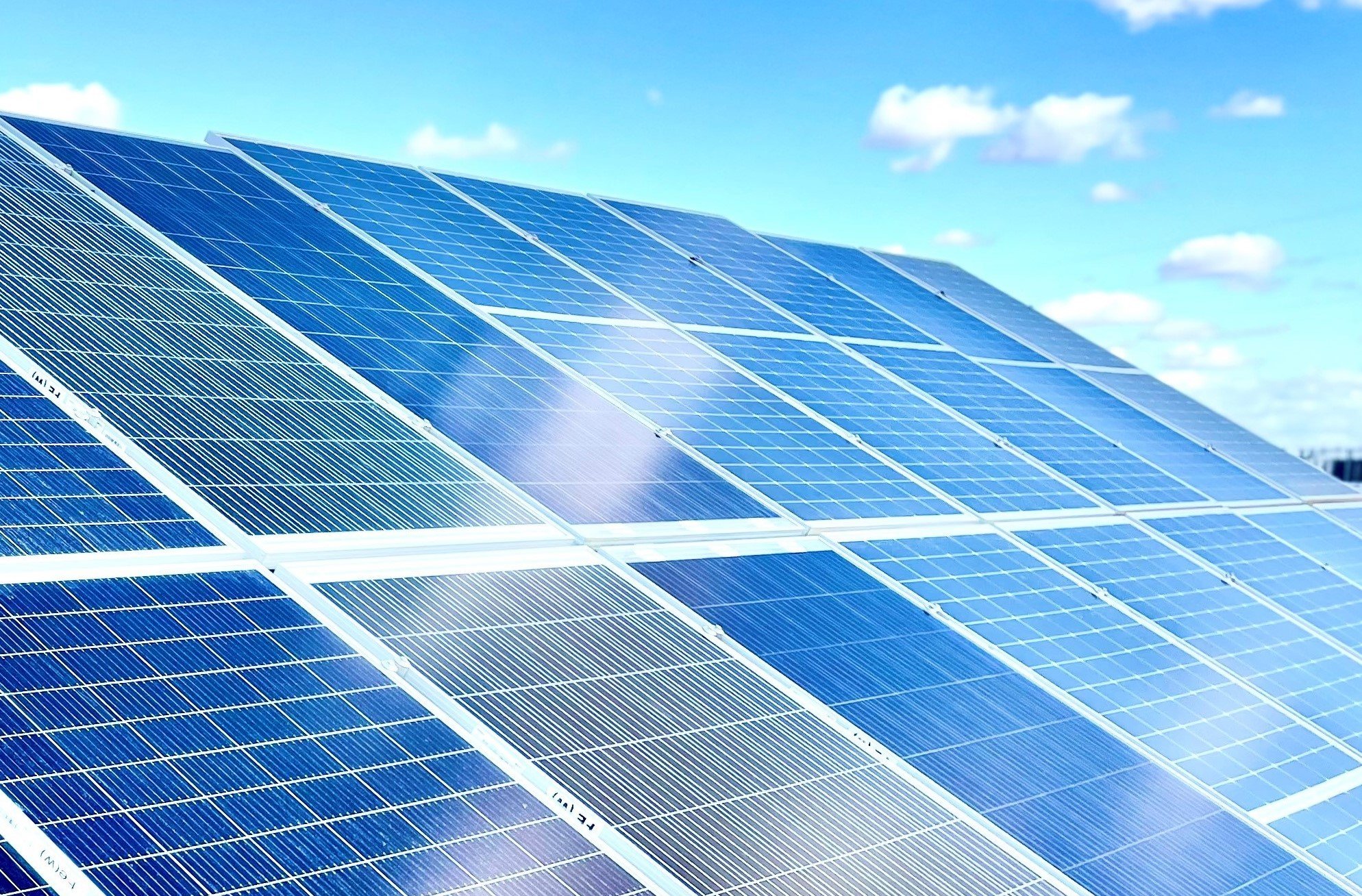 IMG_E3336 (cropped).JPG